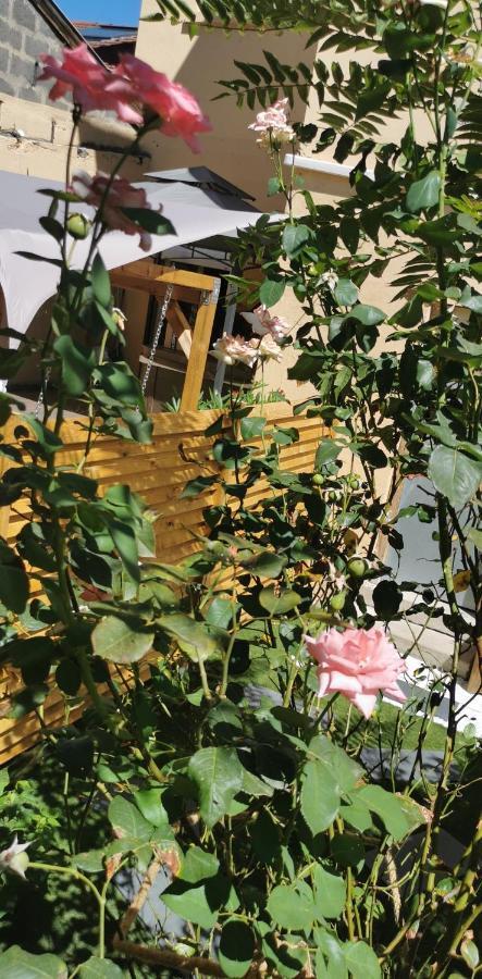 Ferienwohnung Lyon Superbe Jacuzzi Vue Sur Jardin Villeurbanne Exterior foto